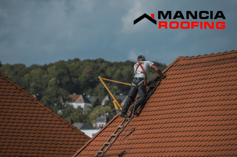 Worker climbing roof with ladder