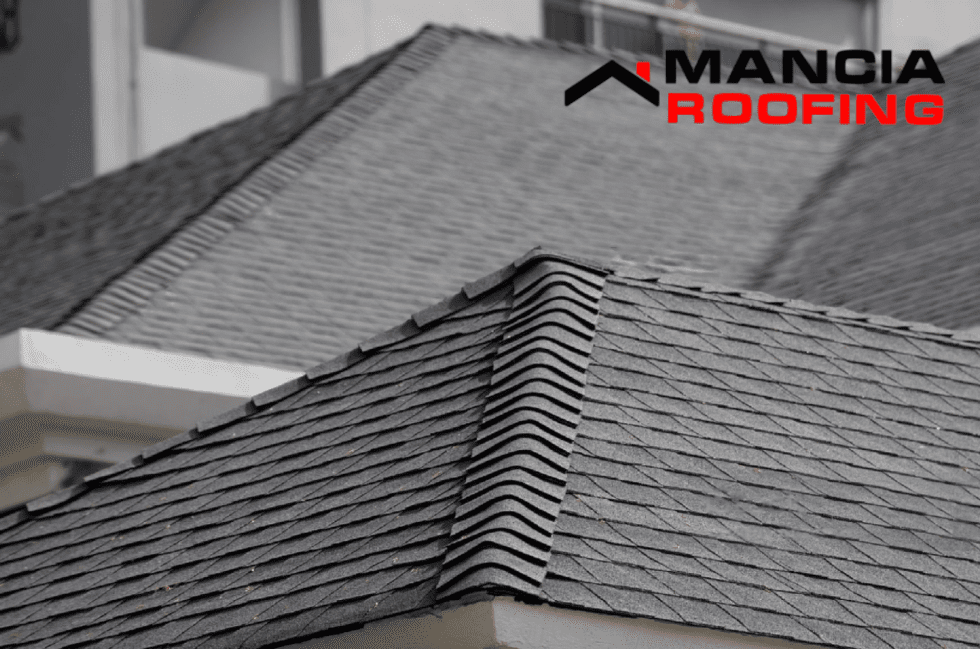 Close-up of shingle roof pattern