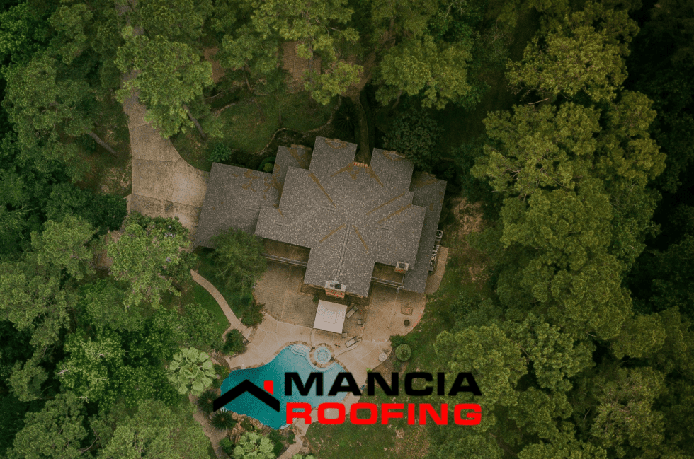 Home surrounded by dense forest