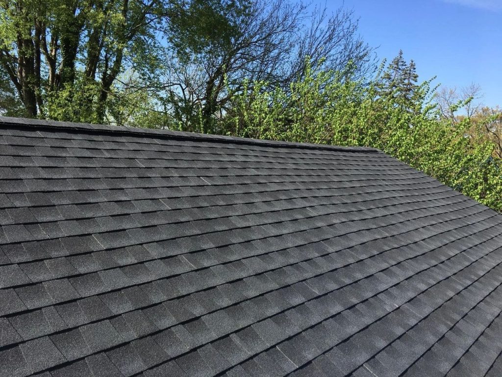 Roof shingles with lush green trees nearby