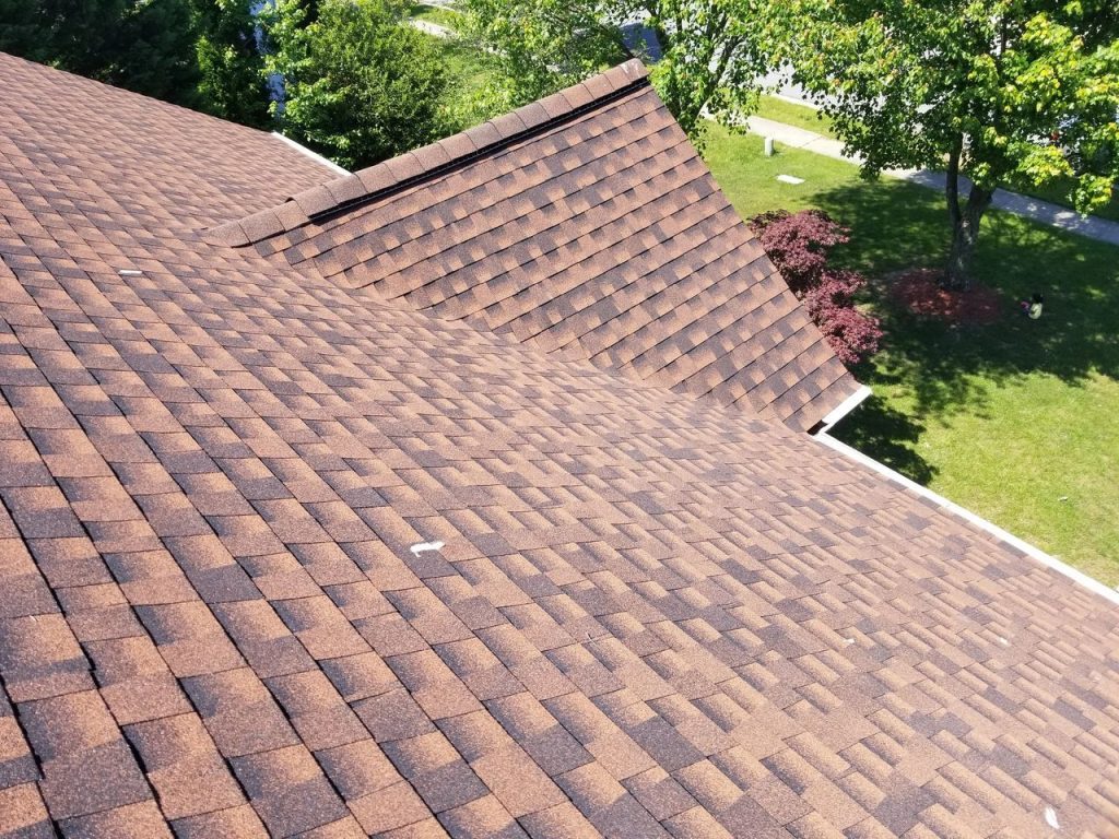 Brown shingle roof with green trees